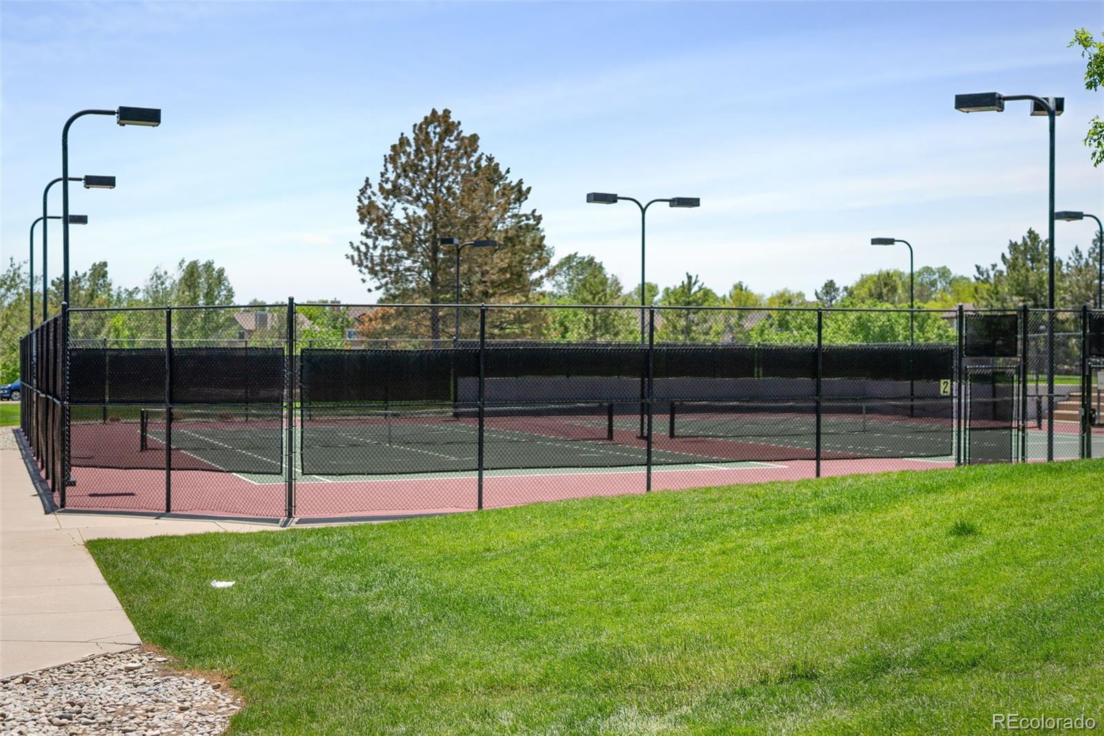 MLS Image #26 for 16036  alberta drive,parker, Colorado