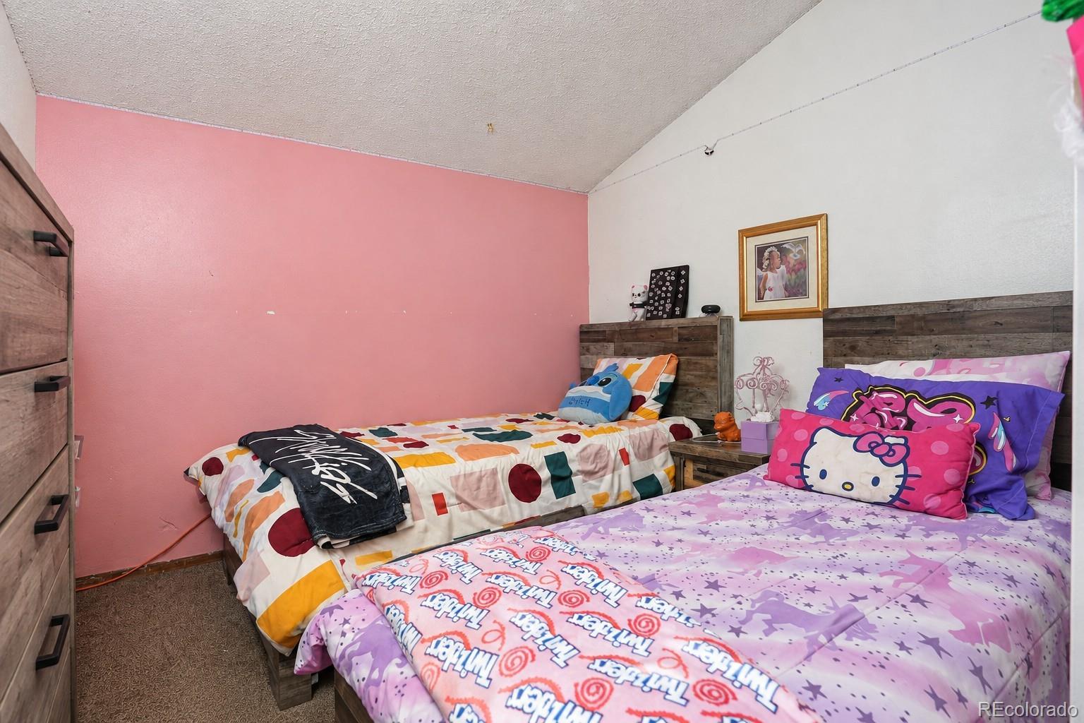 MLS Image #10 for 4336  del rio court,denver, Colorado