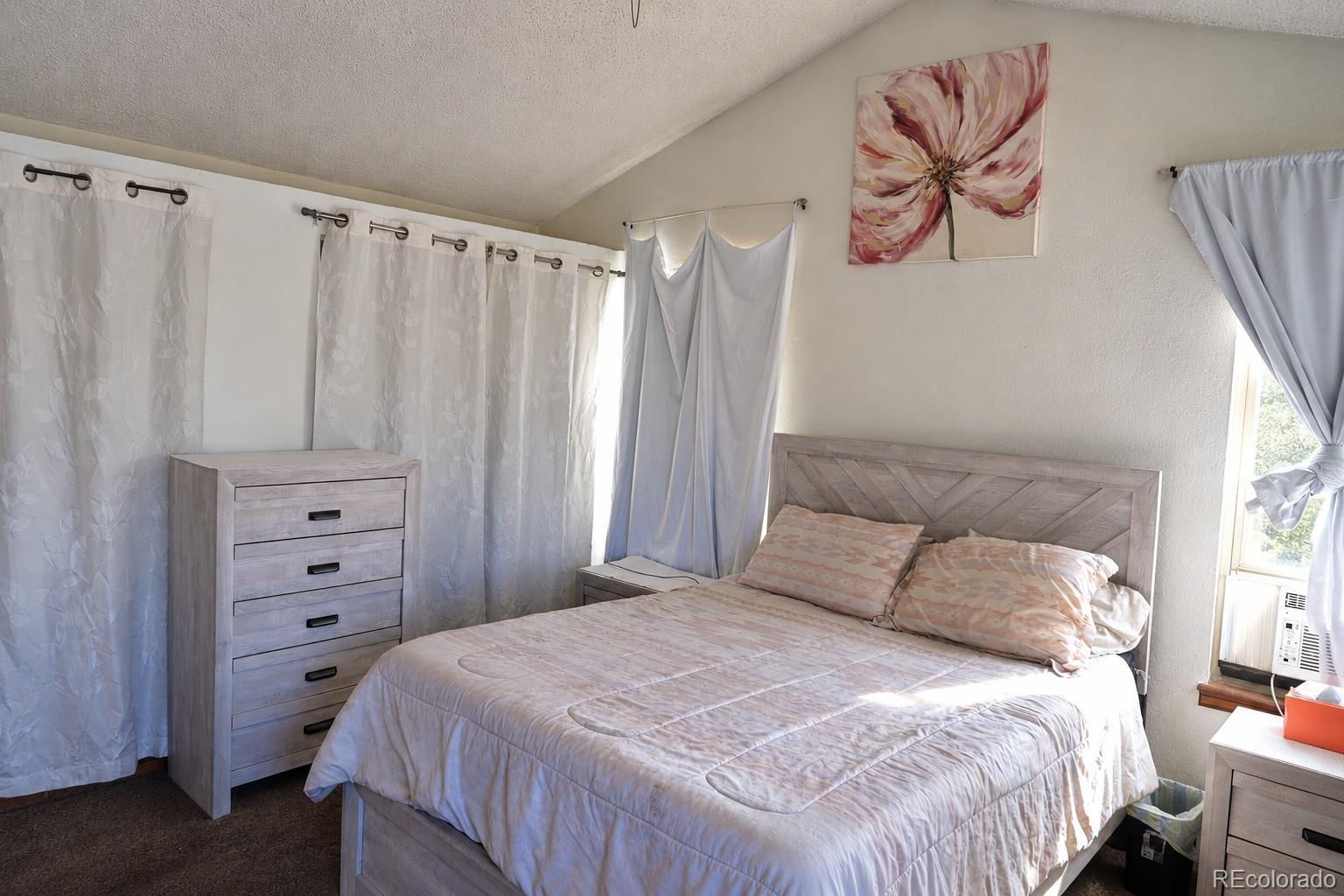 MLS Image #20 for 4336  del rio court,denver, Colorado