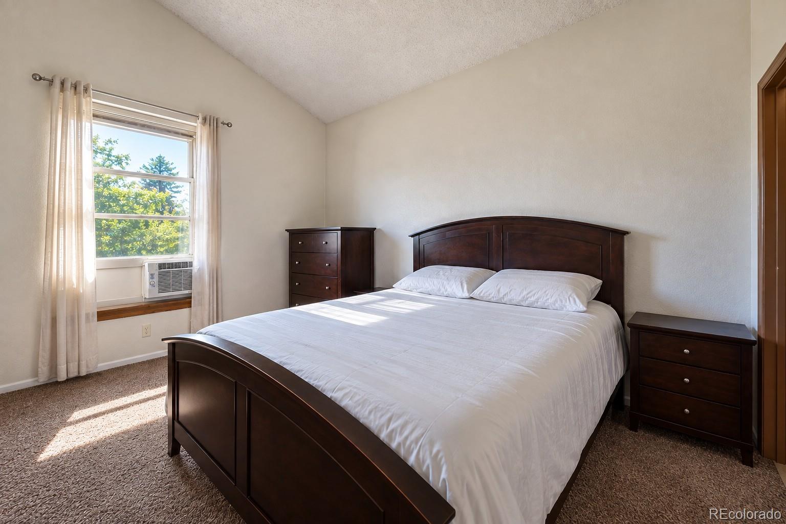 MLS Image #5 for 4336  del rio court,denver, Colorado