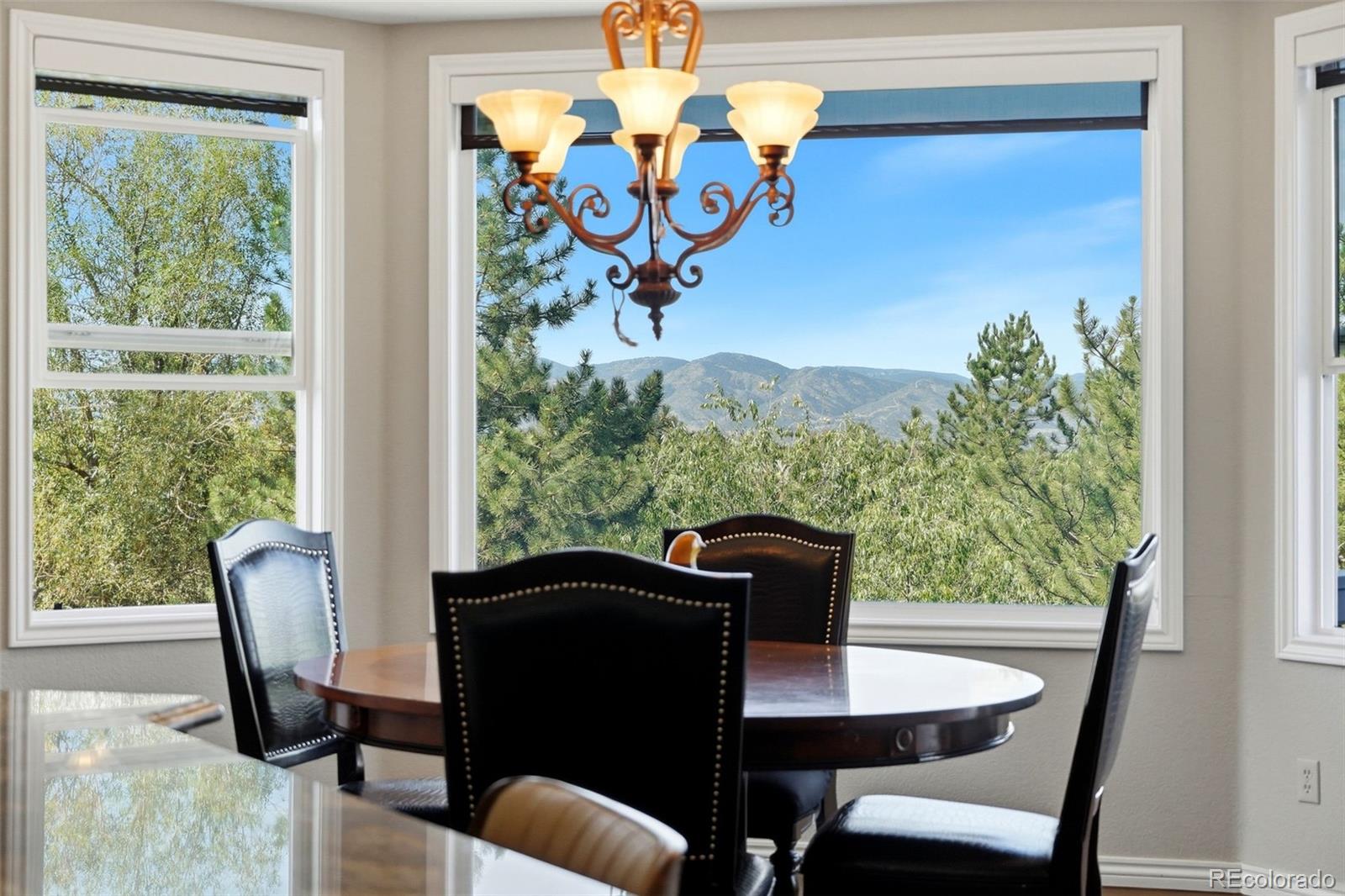 MLS Image #15 for 10399  brookhollow circle,highlands ranch, Colorado
