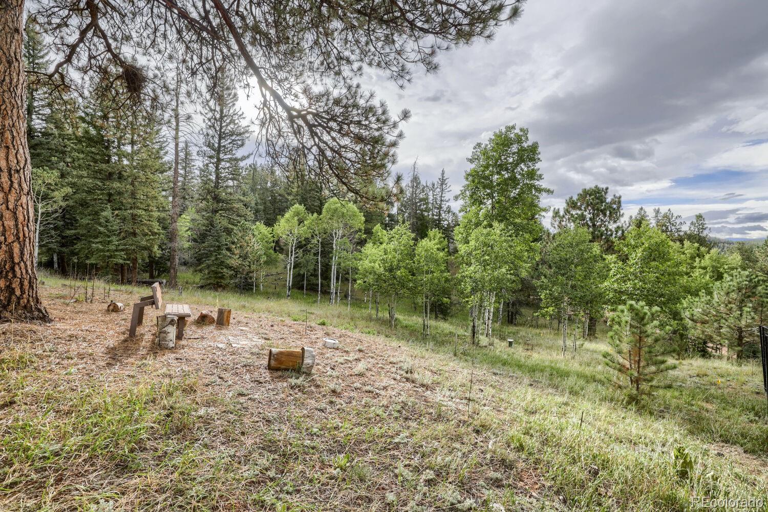 MLS Image #24 for 11662 s juniper road,pine, Colorado