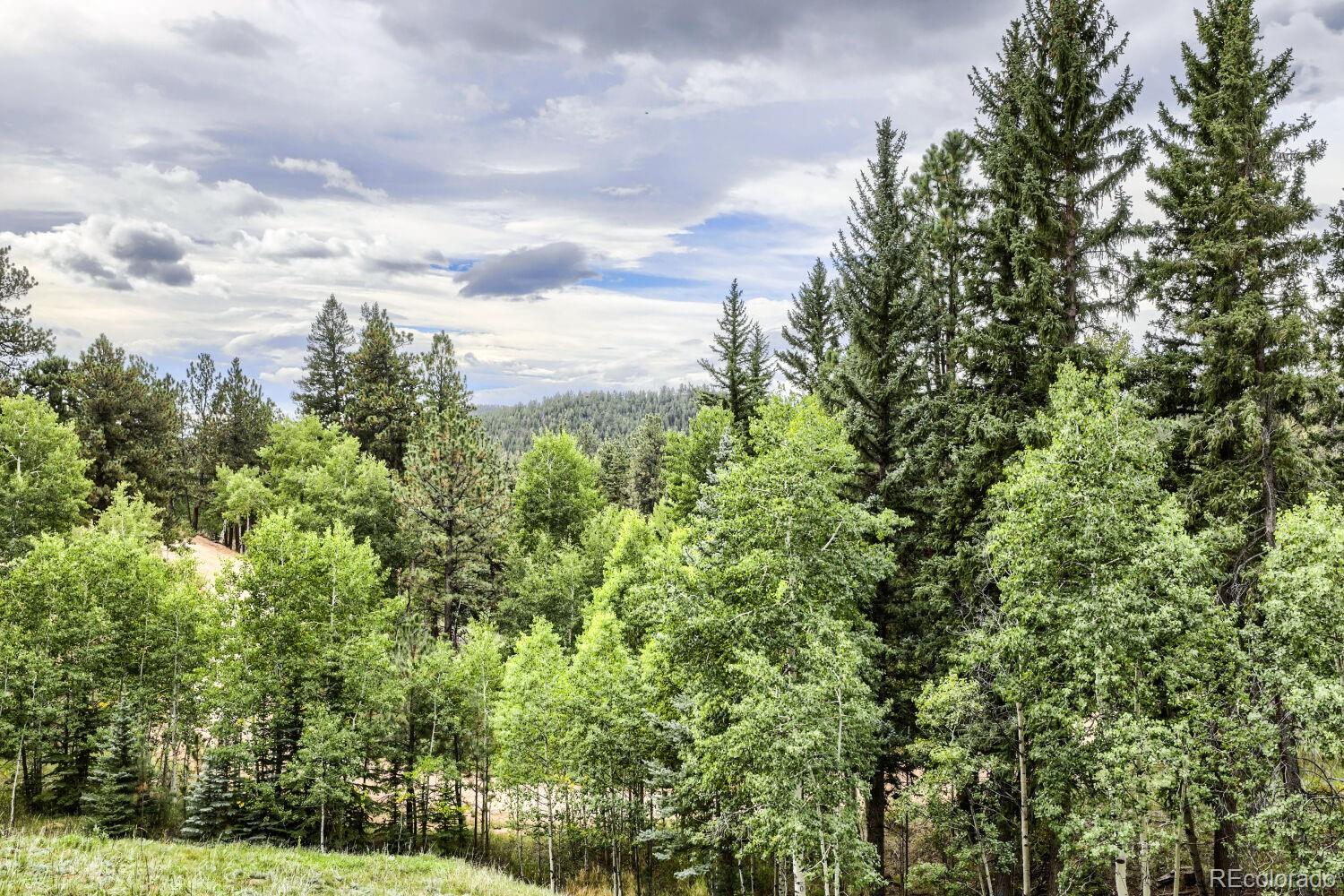 MLS Image #26 for 11662 s juniper road,pine, Colorado