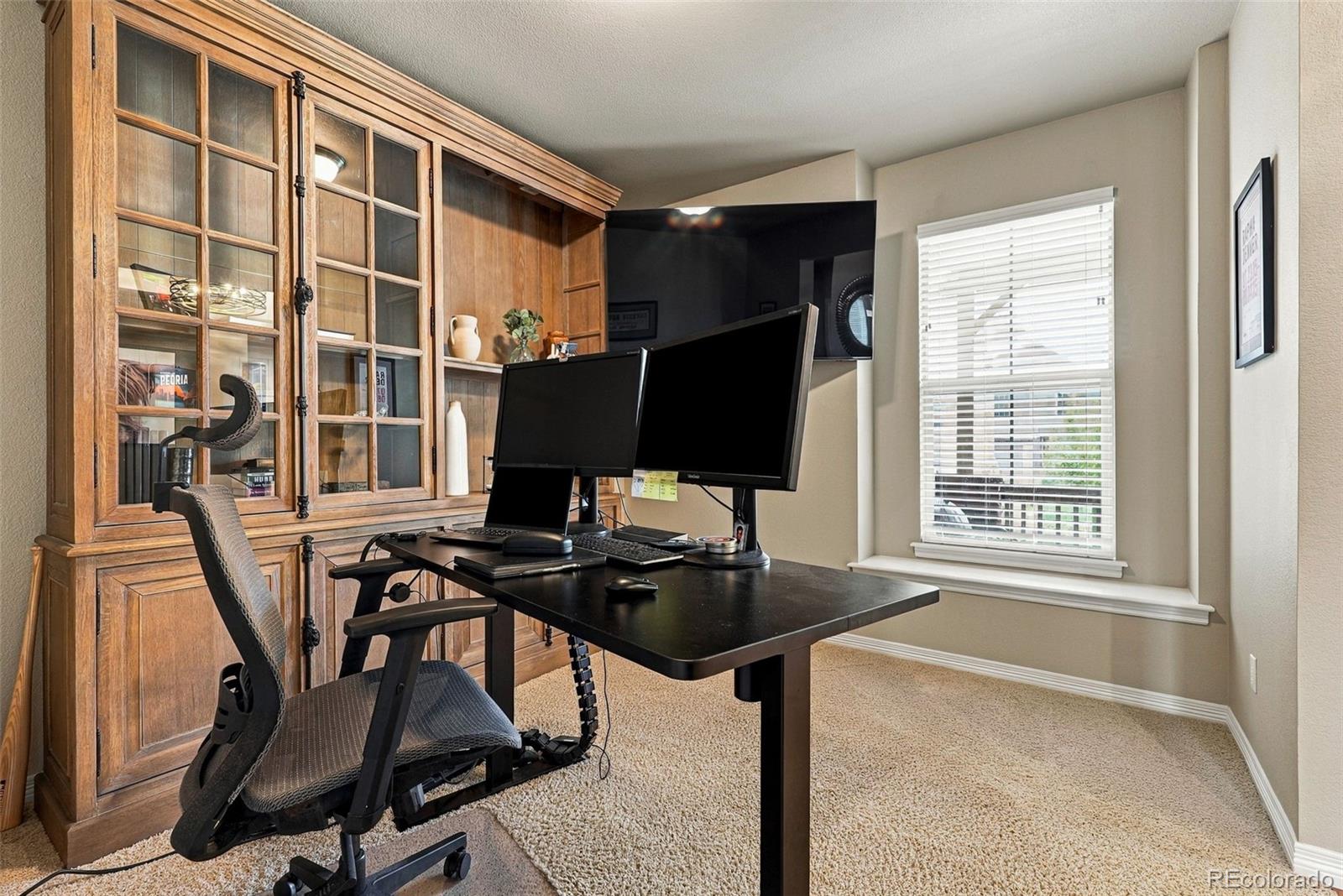 MLS Image #21 for 22263 e idyllwilde avenue,parker, Colorado