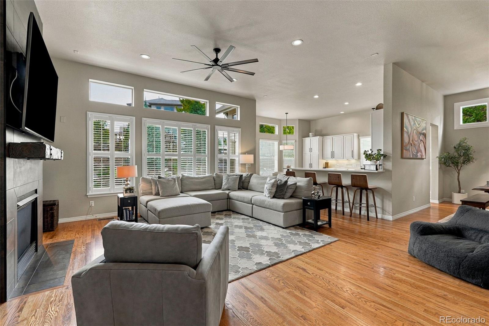 MLS Image #4 for 22263 e idyllwilde avenue,parker, Colorado