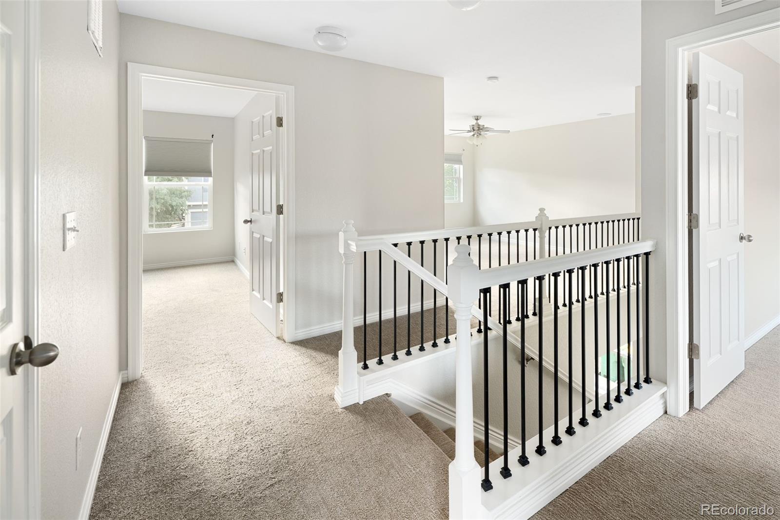 MLS Image #10 for 2402  quartz street,castle rock, Colorado