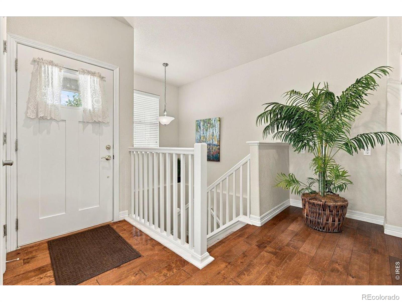 MLS Image #12 for 2226  maid marian court,fort collins, Colorado