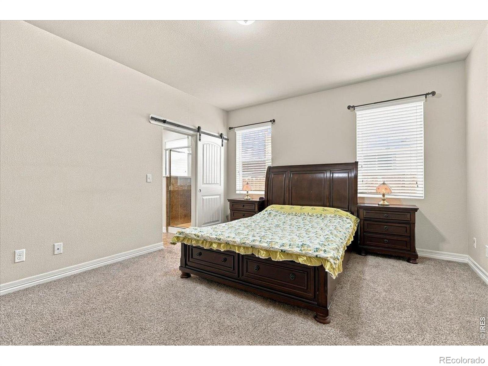 MLS Image #19 for 2226  maid marian court,fort collins, Colorado
