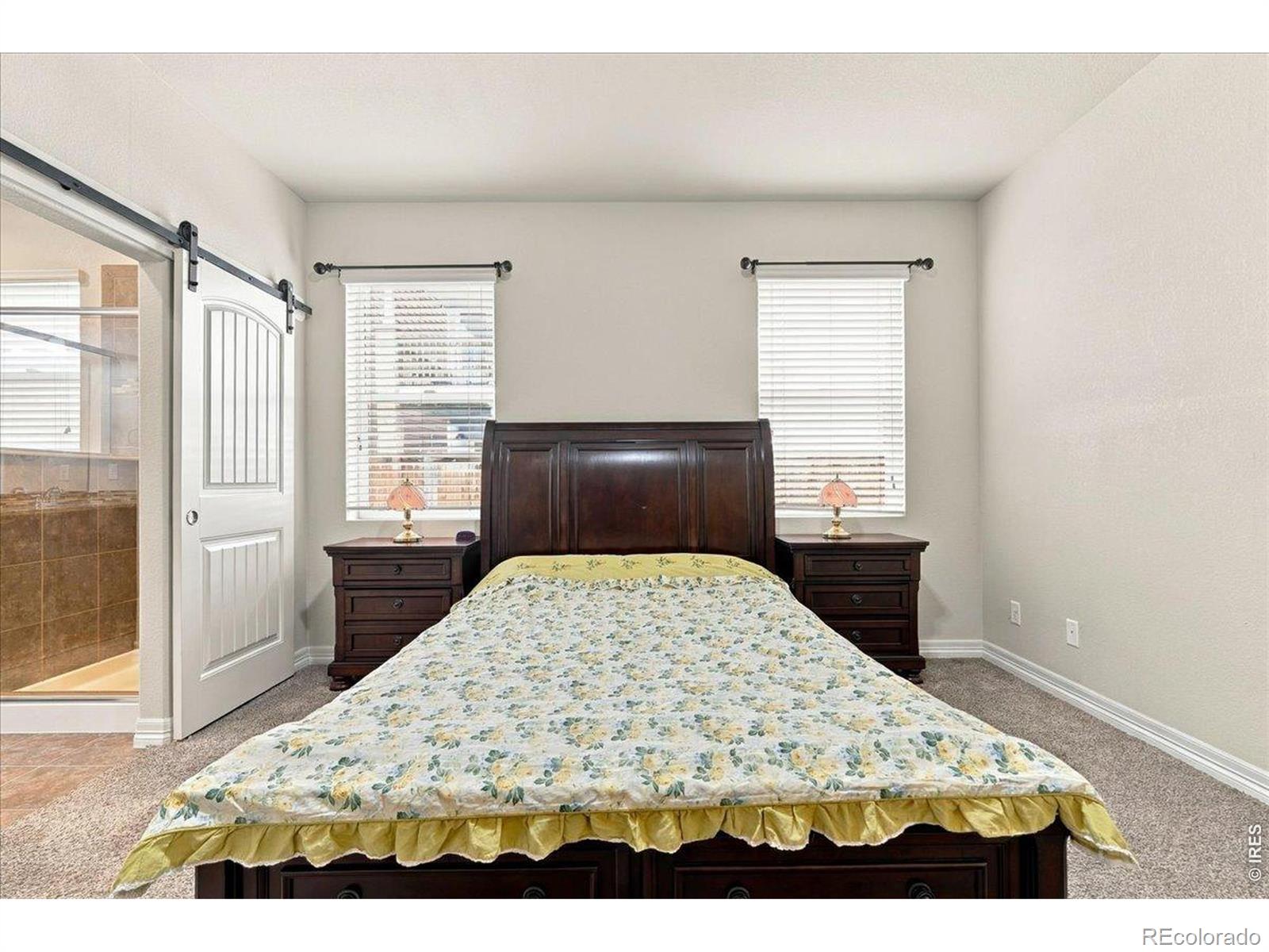 MLS Image #20 for 2226  maid marian court,fort collins, Colorado