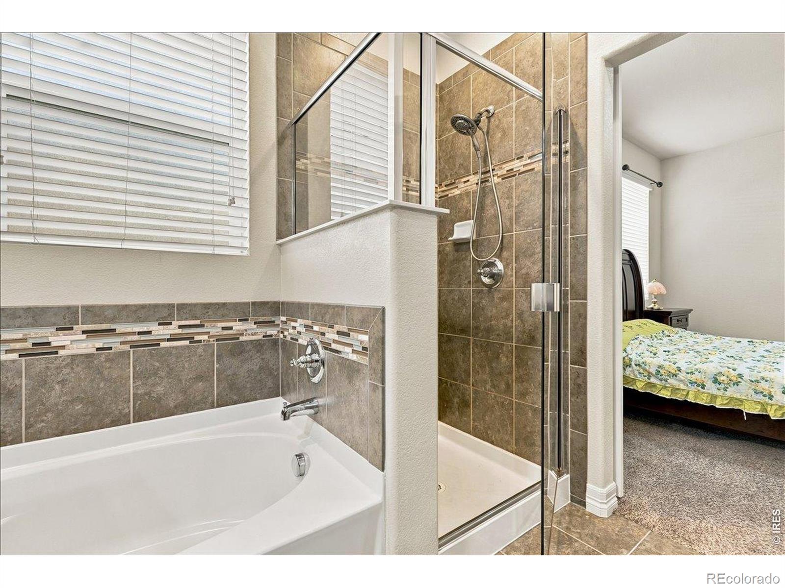 MLS Image #24 for 2226  maid marian court,fort collins, Colorado