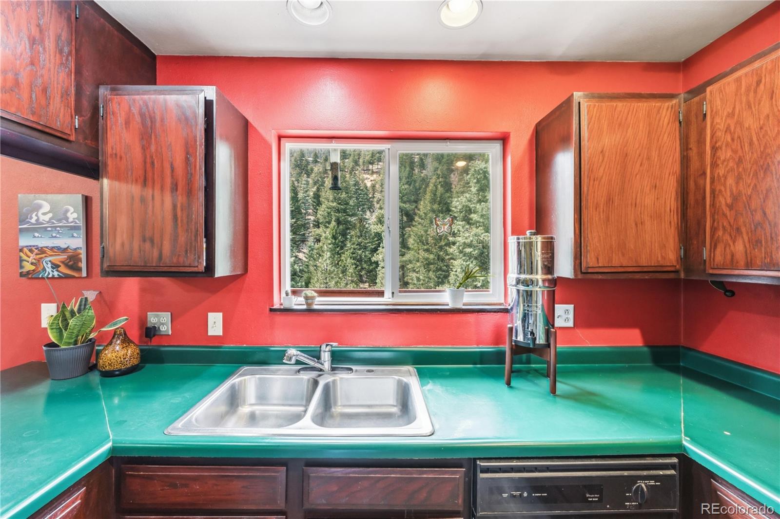 MLS Image #9 for 5130  neeper valley road,manitou springs, Colorado
