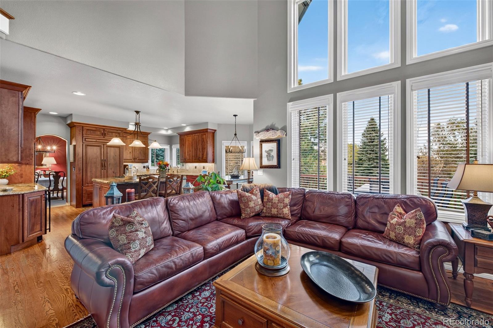 MLS Image #12 for 3  marsh hawk lane,littleton, Colorado