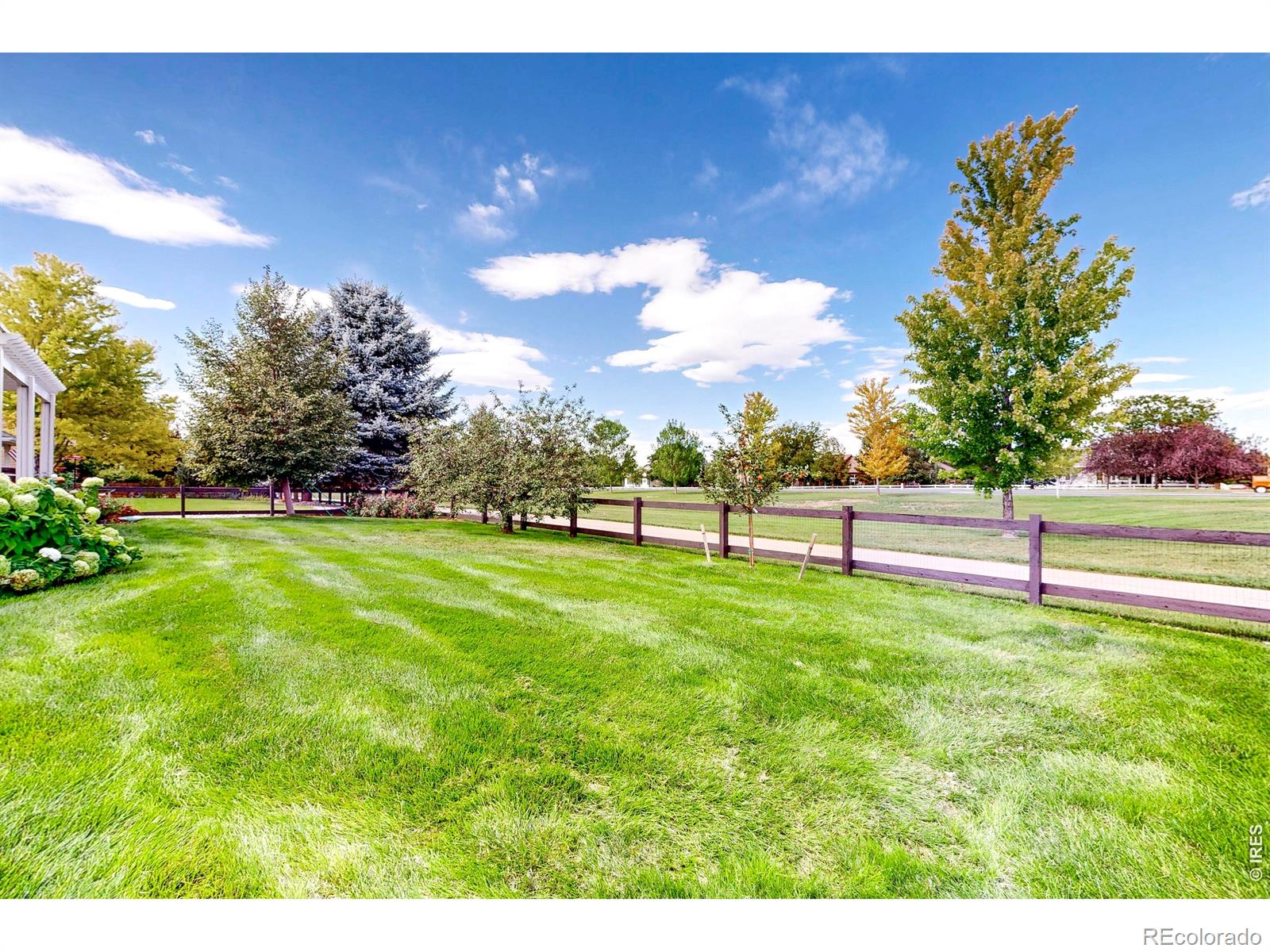 MLS Image #44 for 6694  spanish bay drive,windsor, Colorado