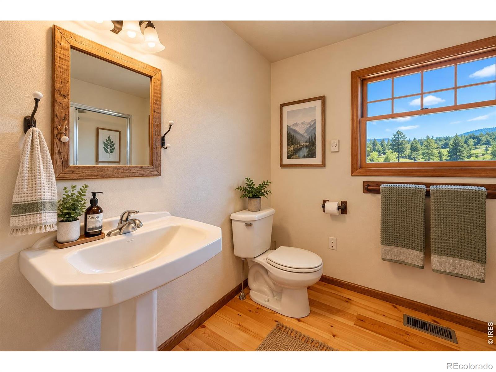 MLS Image #24 for 1231  mount simon drive,livermore, Colorado