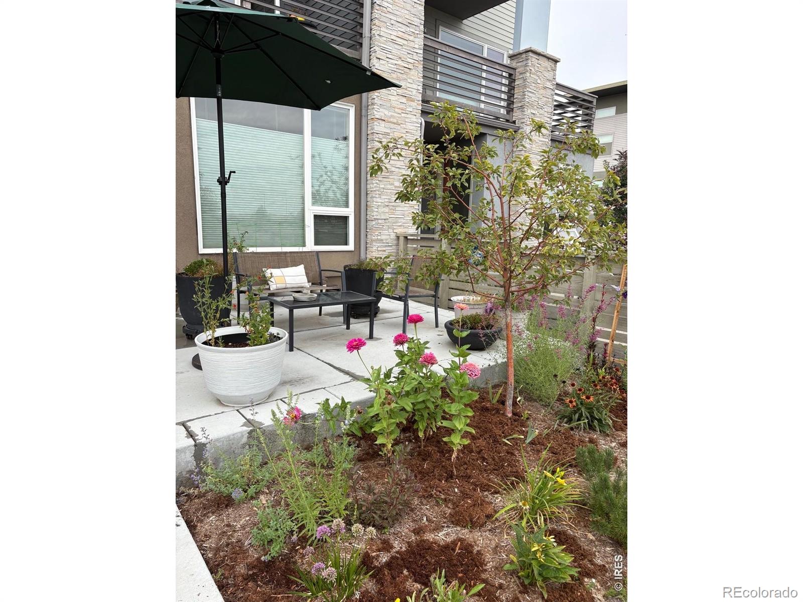 MLS Image #32 for 1483  hecla way,louisville, Colorado