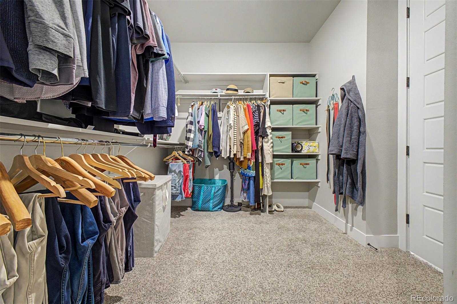 MLS Image #16 for 6881  cattails drive,wellington, Colorado