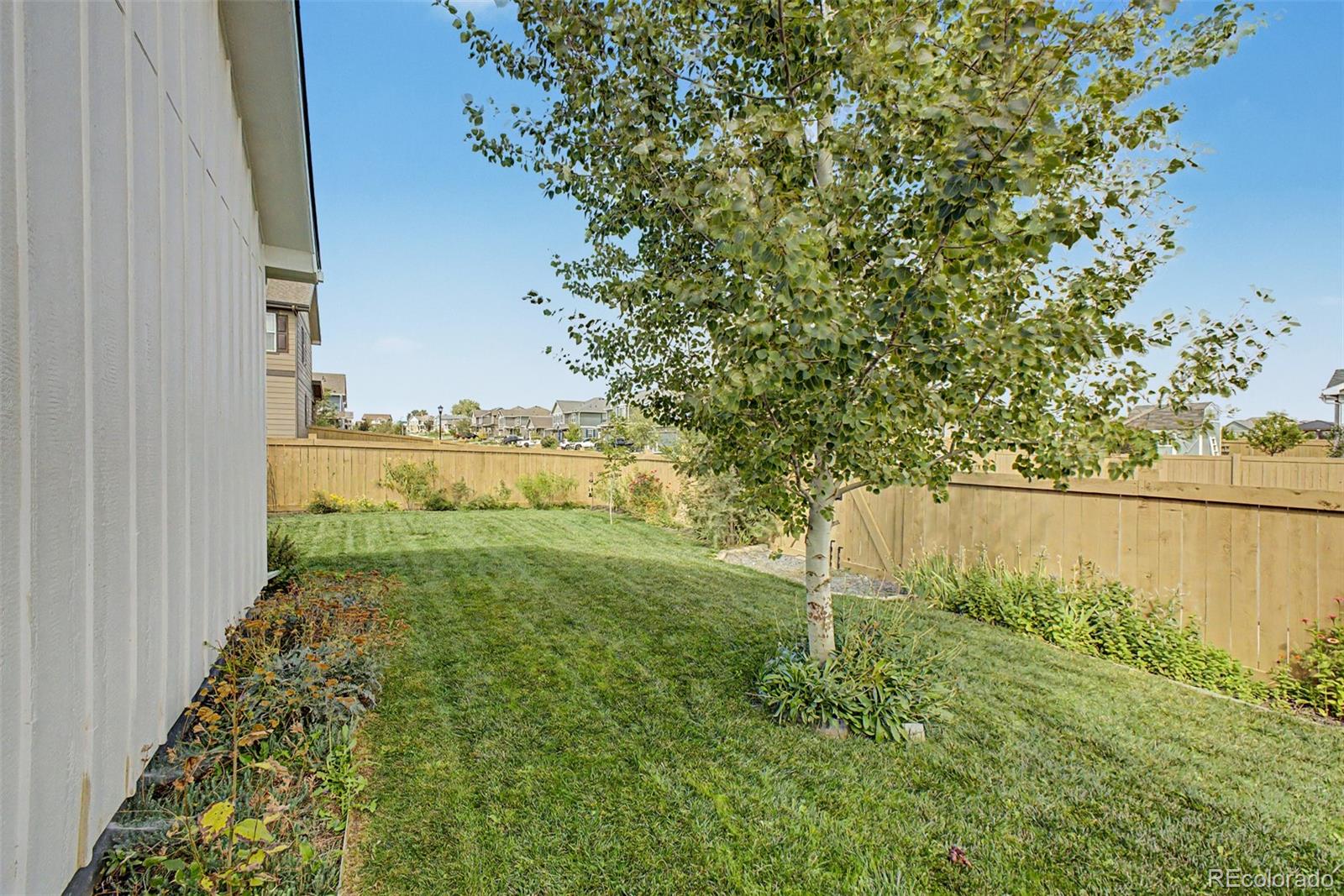 MLS Image #35 for 6881  cattails drive,wellington, Colorado