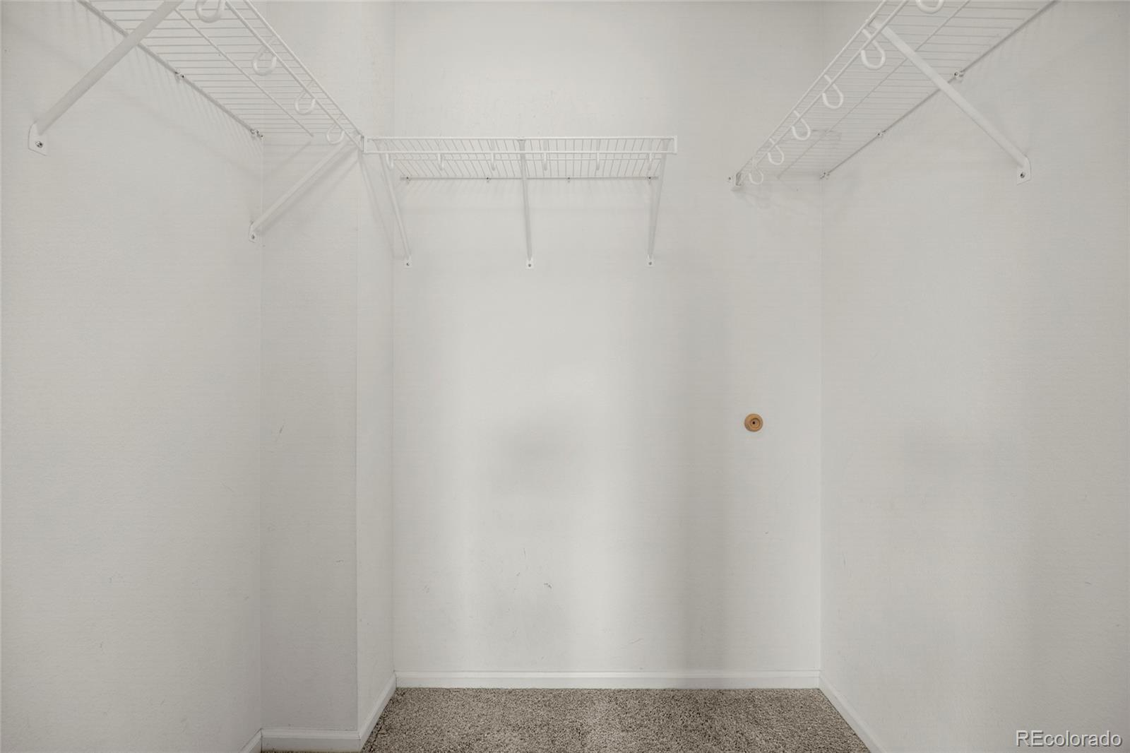 MLS Image #10 for 5429  ben park circle,parker, Colorado