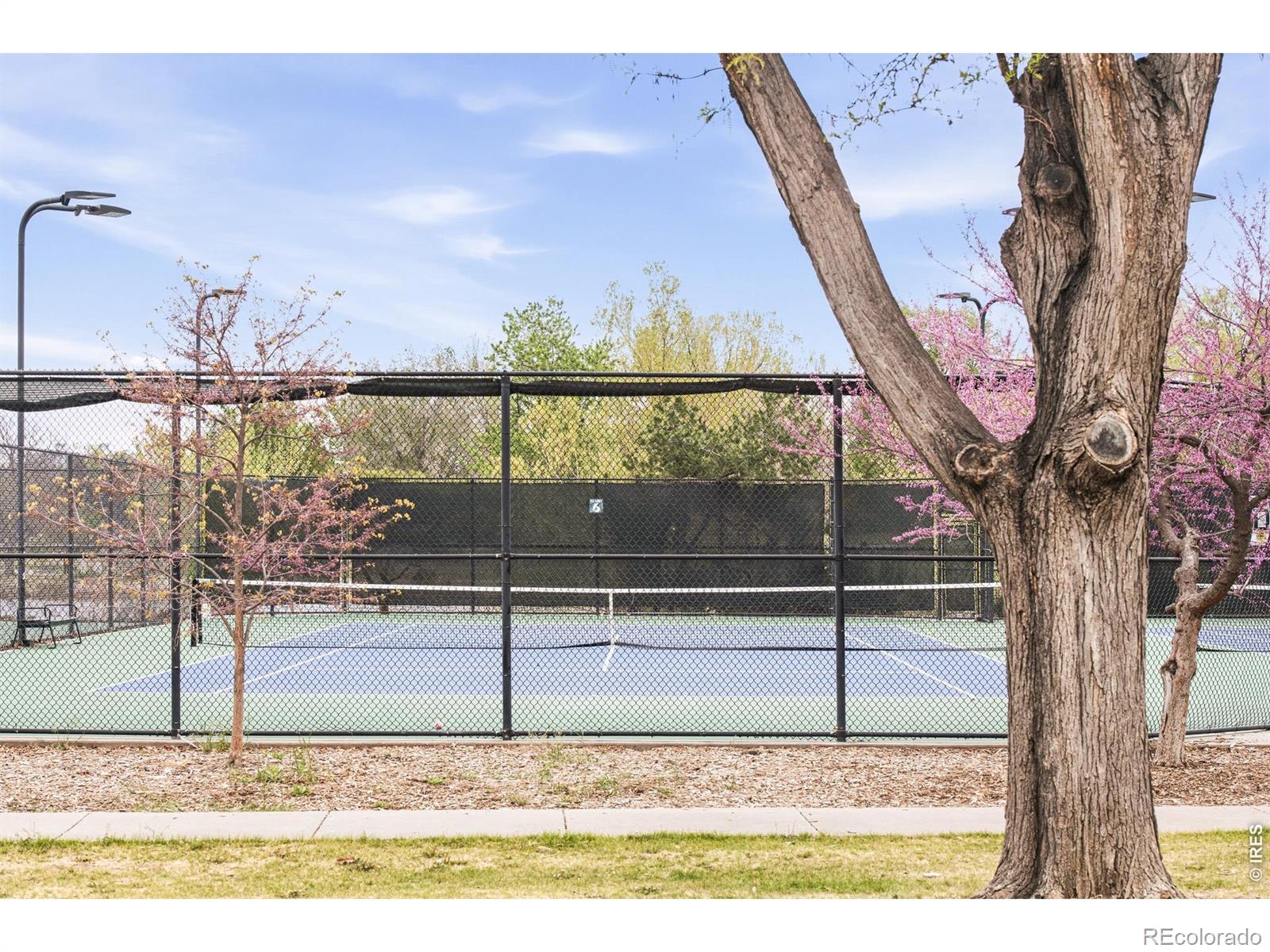 MLS Image #31 for 649 s ogden street,denver, Colorado