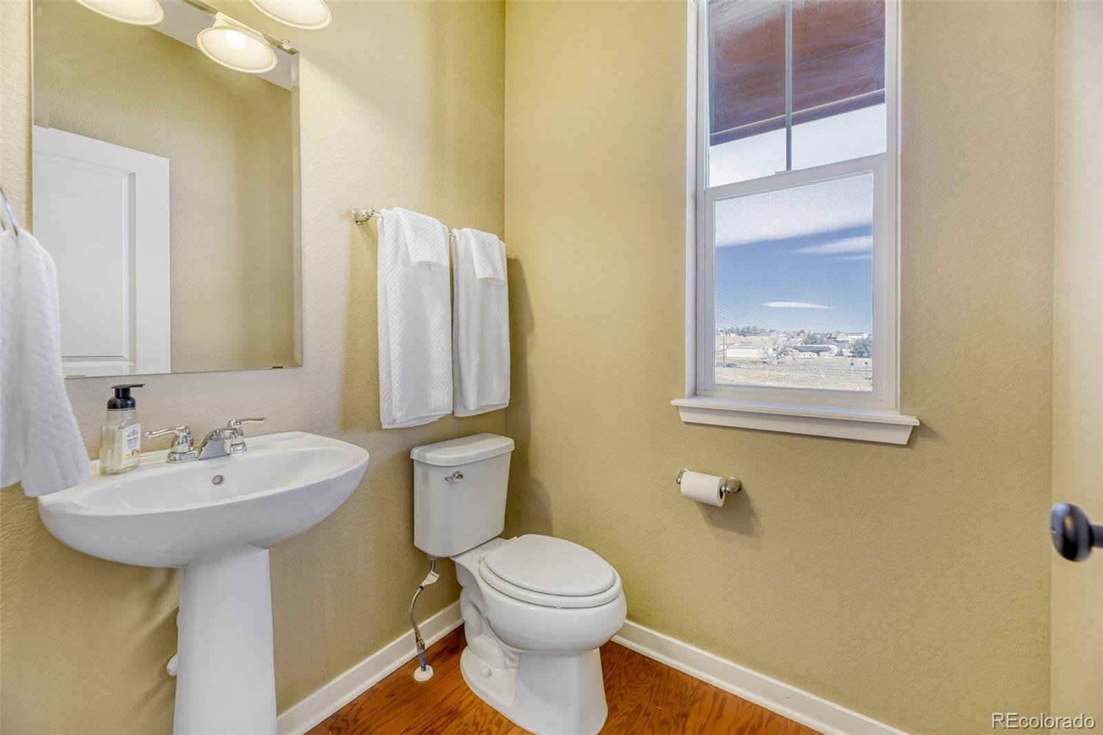 MLS Image #16 for 10001  hough point,parker, Colorado