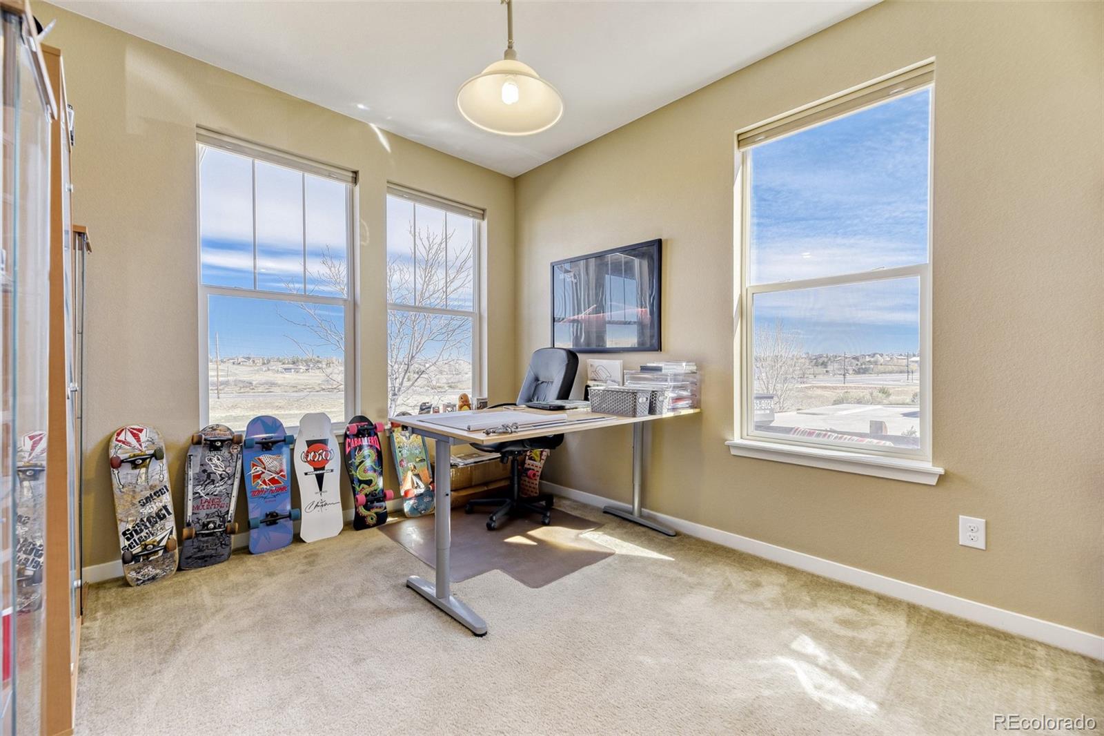 MLS Image #23 for 10001  hough point,parker, Colorado