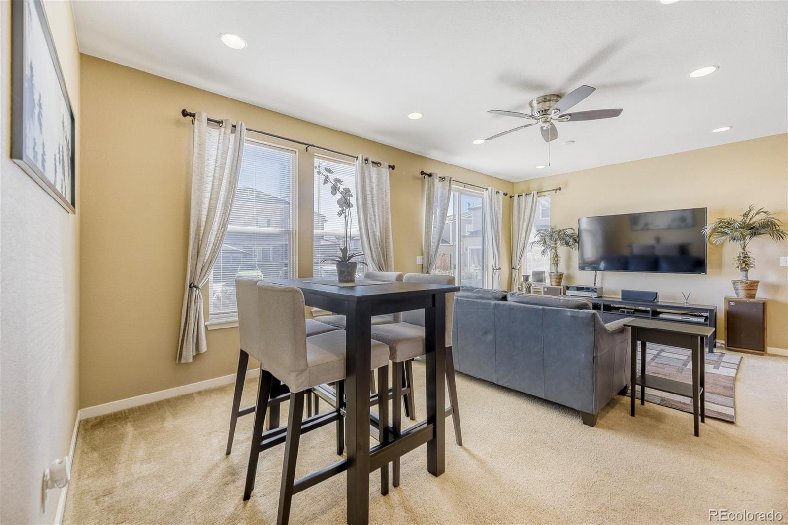 MLS Image #8 for 10001  hough point,parker, Colorado
