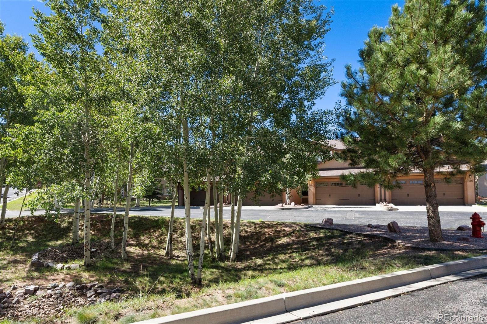 MLS Image #43 for 718  misty pines circle,woodland park, Colorado