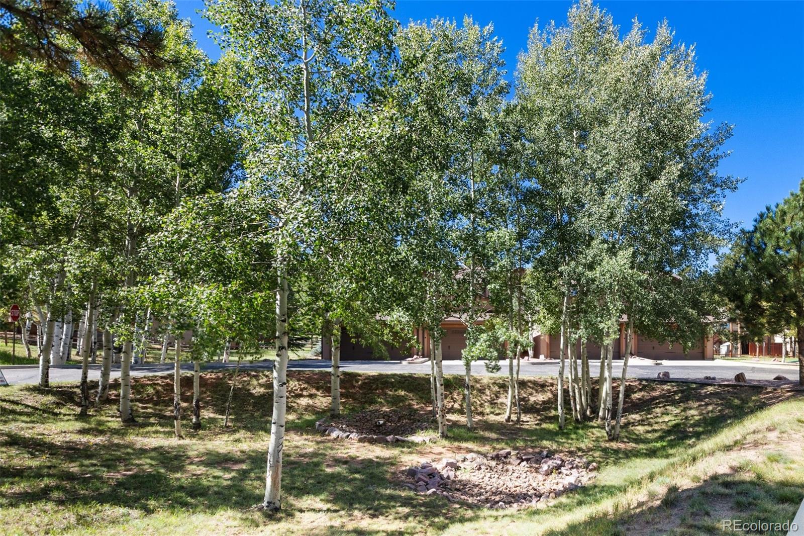 MLS Image #45 for 718  misty pines circle,woodland park, Colorado