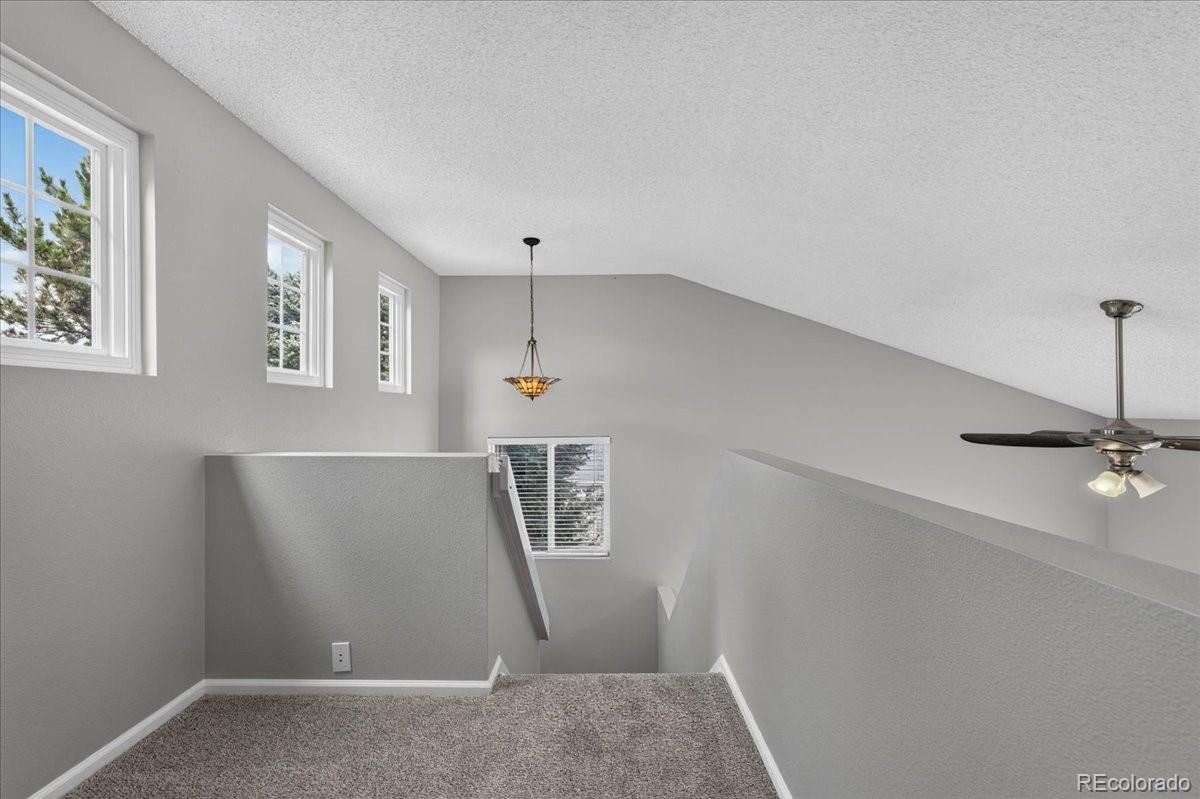 MLS Image #16 for 10046  apollo bay way,highlands ranch, Colorado