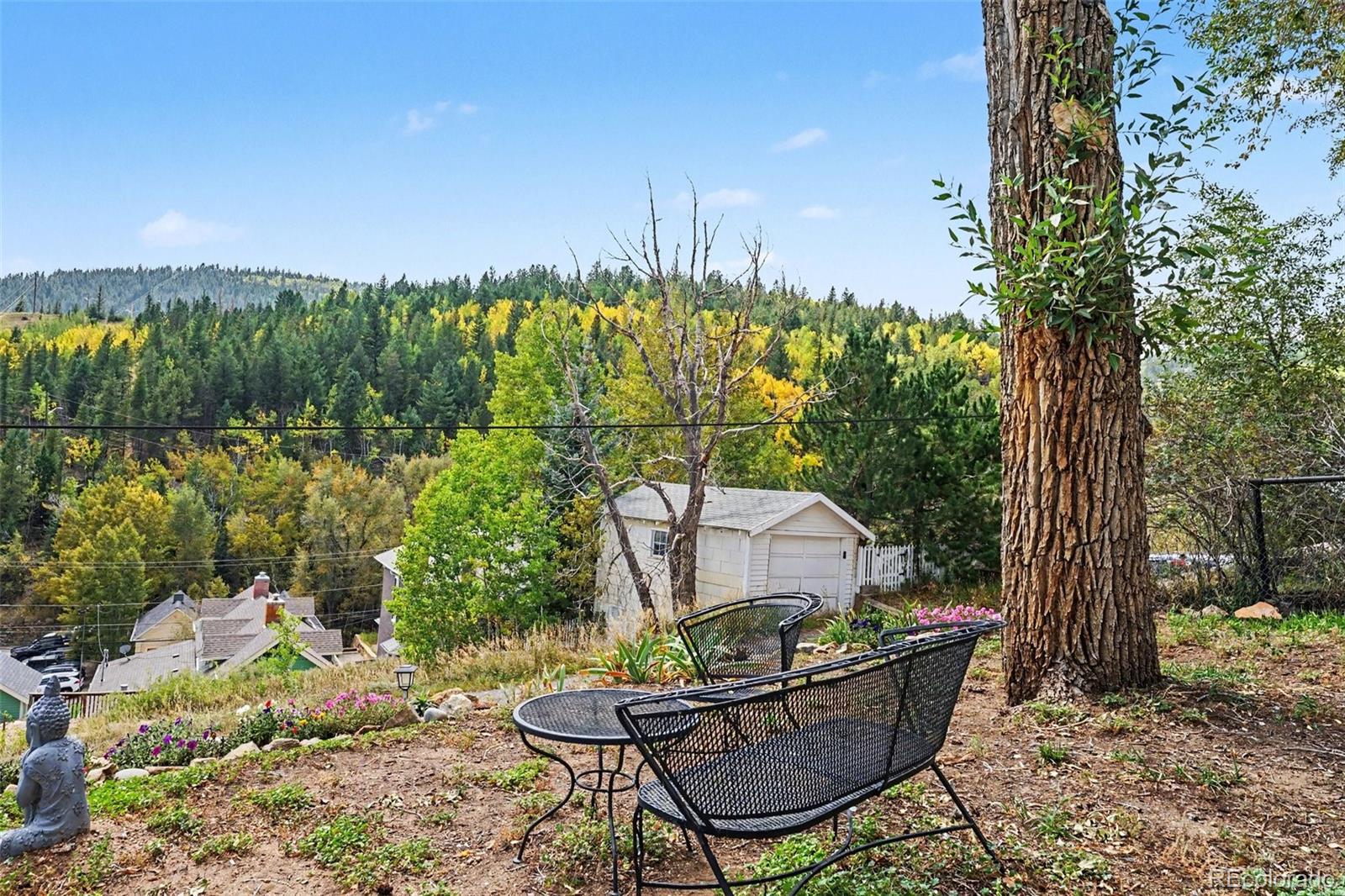 MLS Image #21 for 209 w 1st high street,central city, Colorado