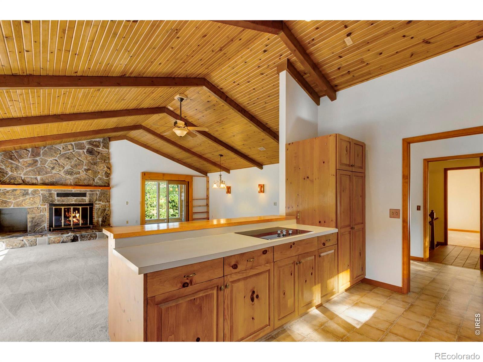 MLS Image #12 for 1996  uplands circle,estes park, Colorado