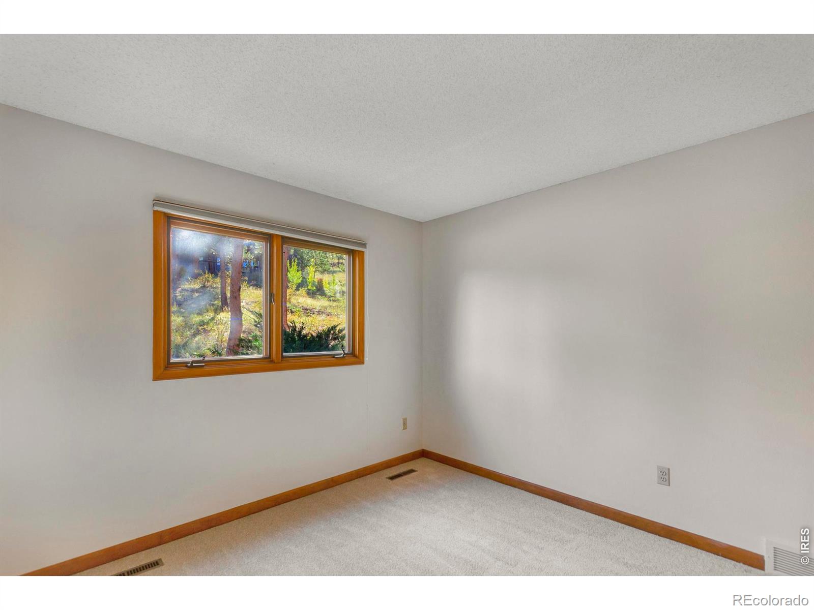 MLS Image #23 for 1996  uplands circle,estes park, Colorado