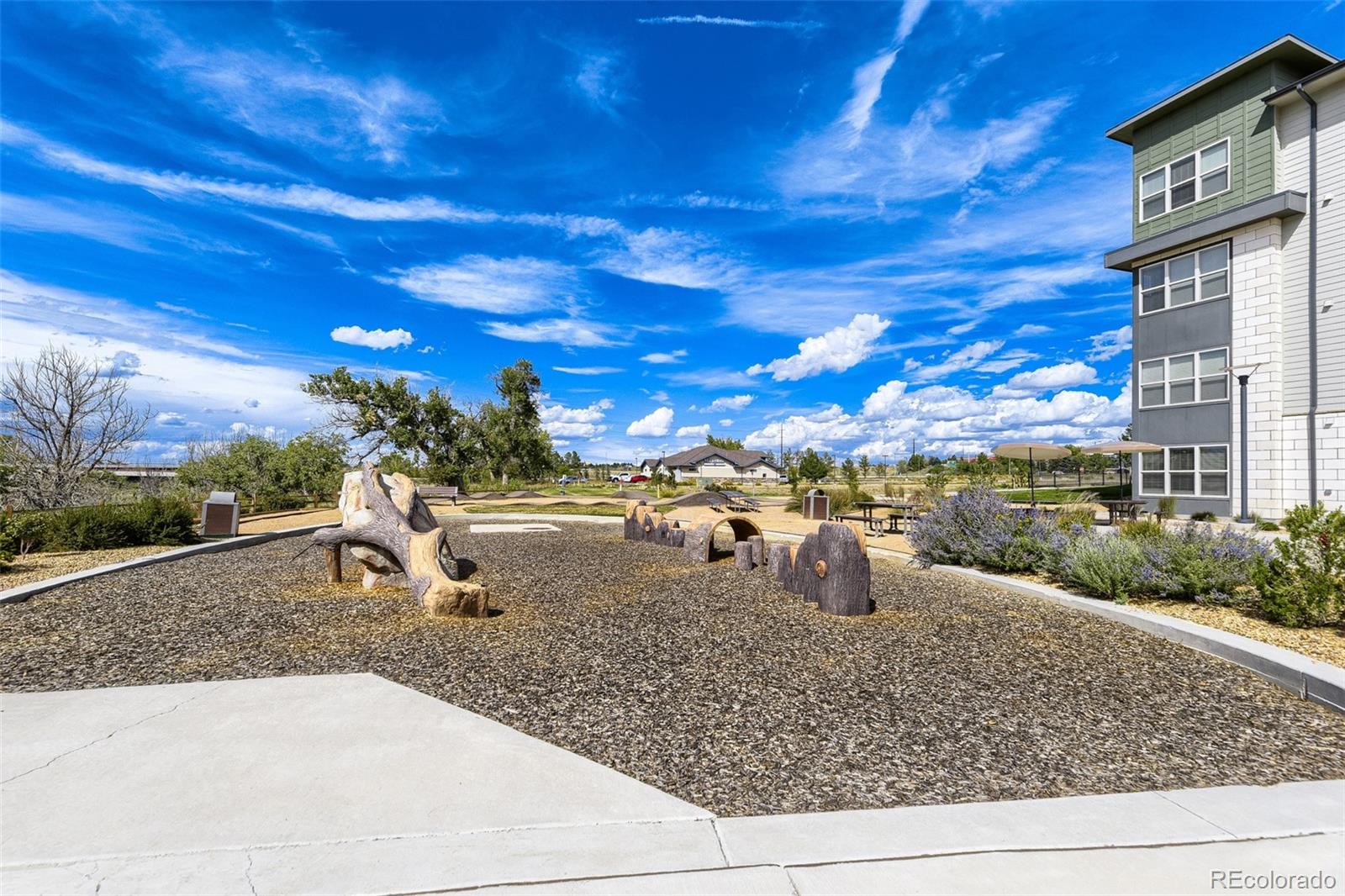 MLS Image #28 for 9291  twenty mile road,parker, Colorado