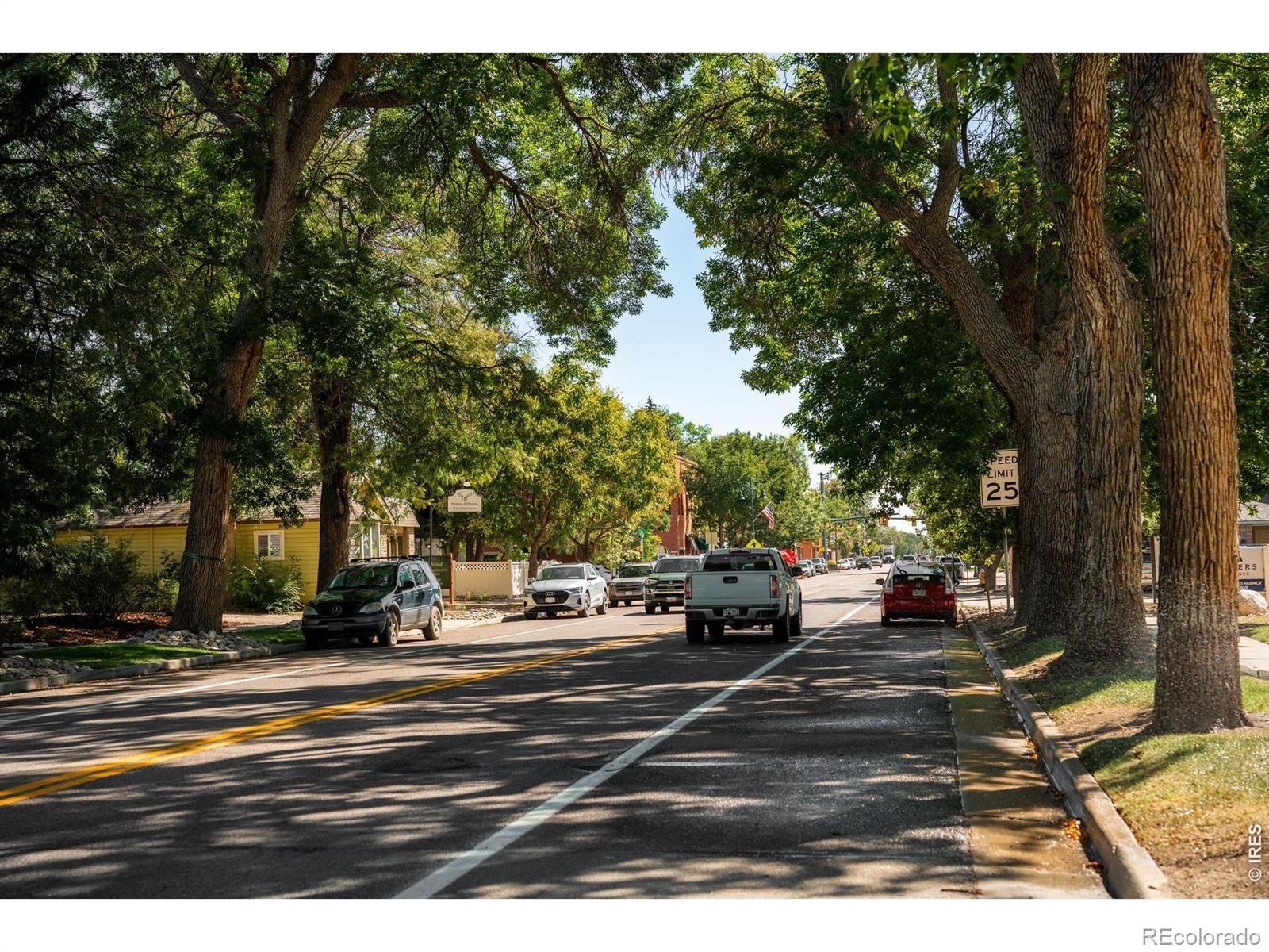 MLS Image #48 for 353  mount rainier street,berthoud, Colorado