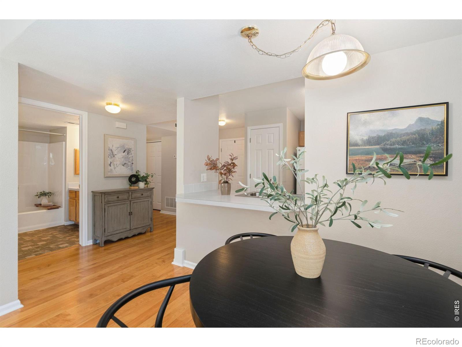 MLS Image #9 for 1020  rolland moore drive,fort collins, Colorado