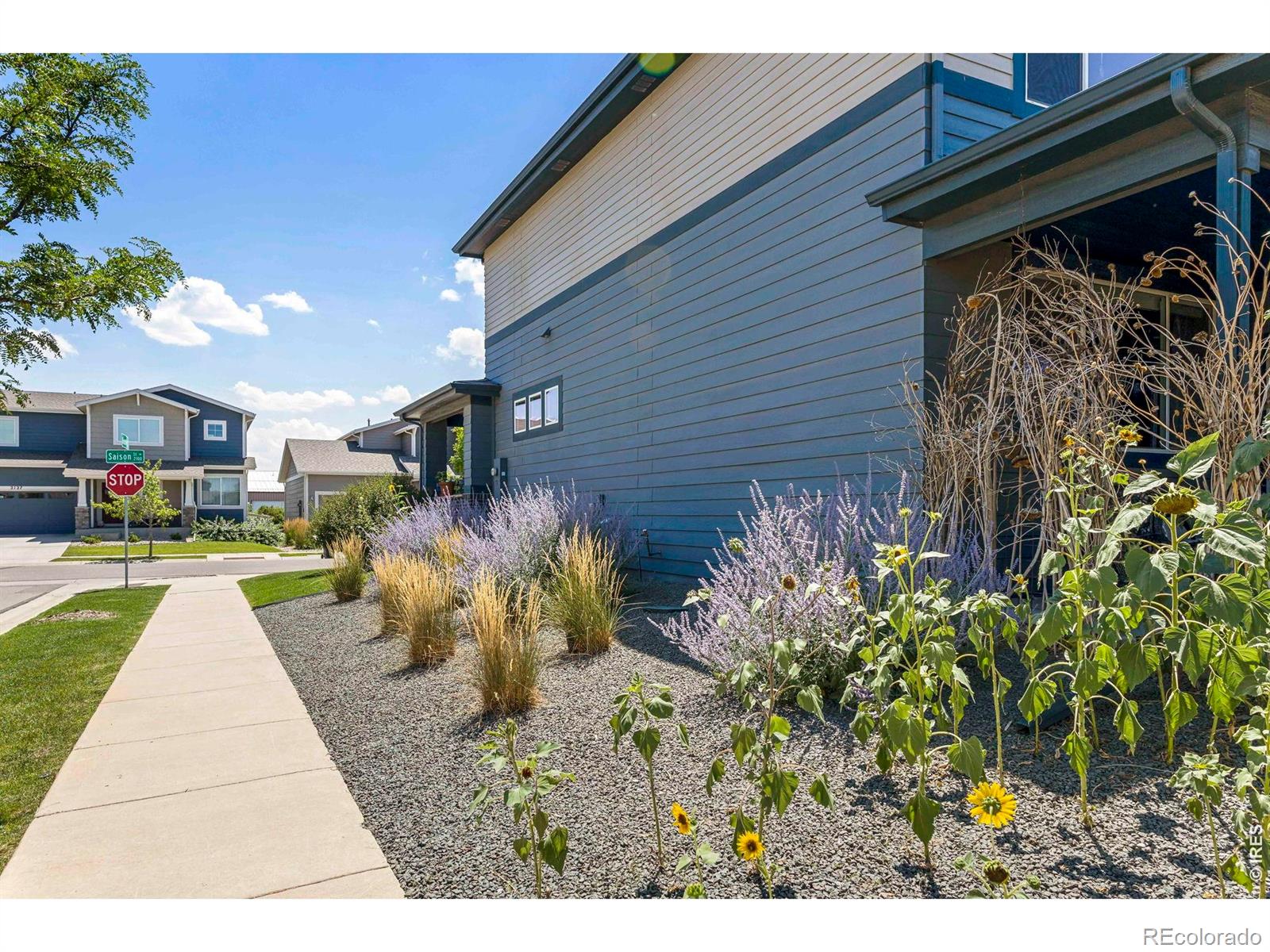 MLS Image #28 for 2120  saison street,fort collins, Colorado