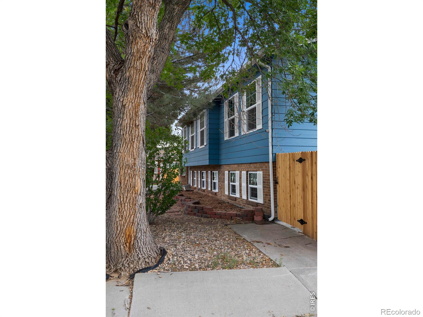 MLS Image #42 for 400  edgewood drive,loveland, Colorado