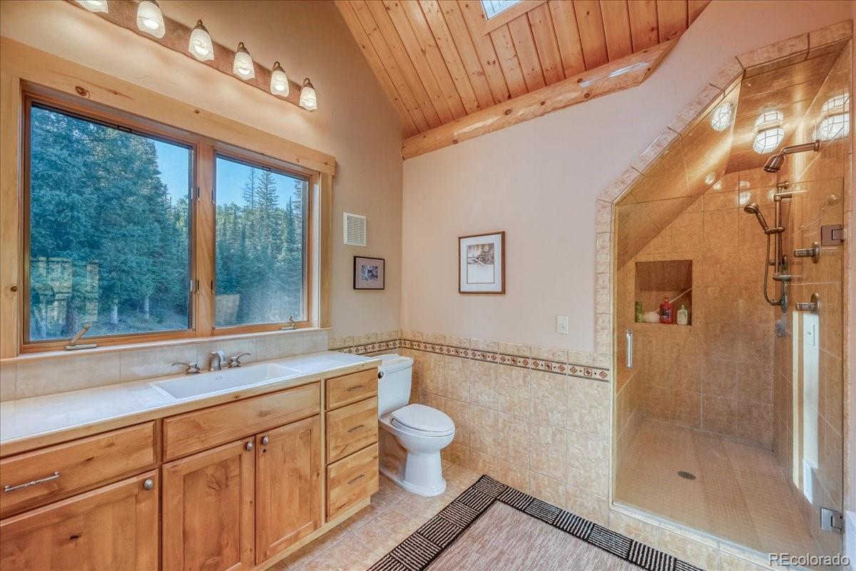 MLS Image #23 for 1624  ruby road,silverthorne, Colorado