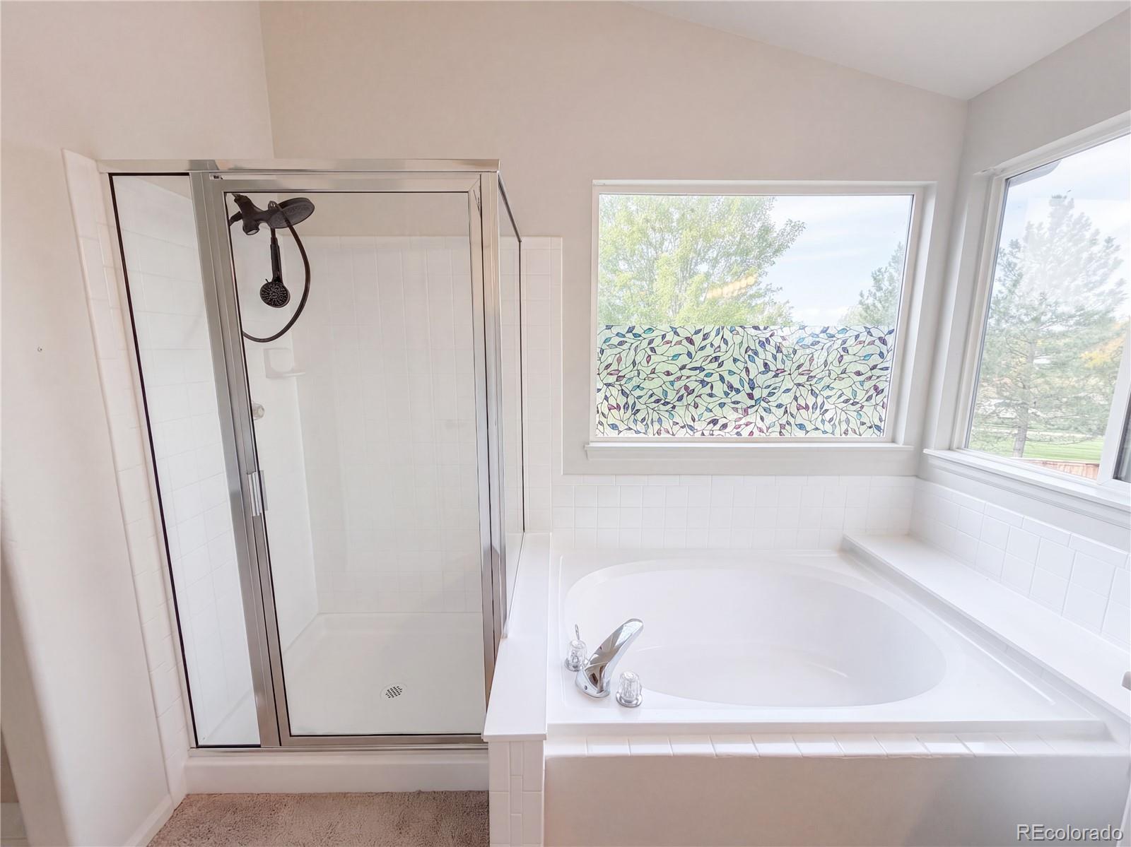 MLS Image #24 for 1658  daily drive,erie, Colorado