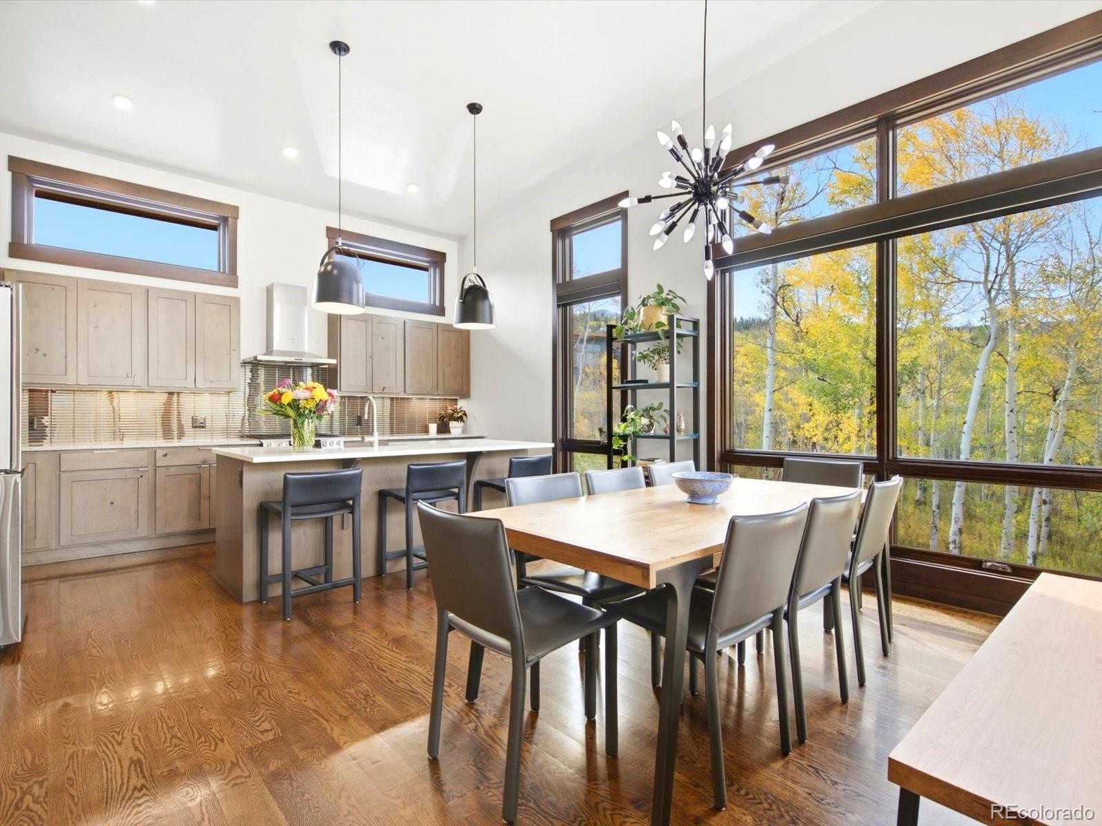 MLS Image #10 for 68  lund way,silverthorne, Colorado