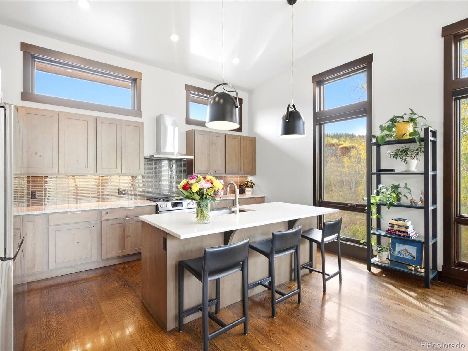MLS Image #11 for 68  lund way,silverthorne, Colorado
