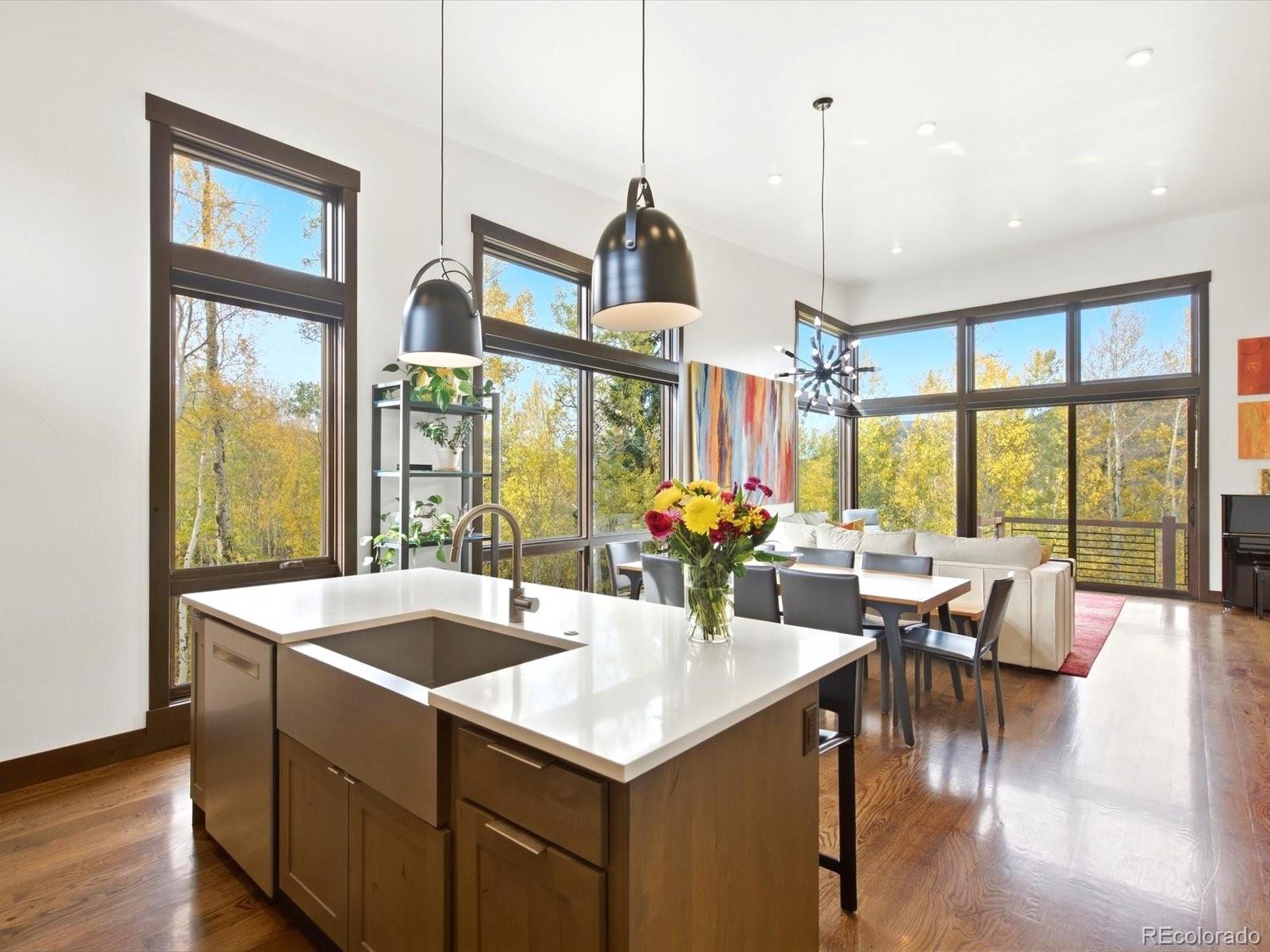 MLS Image #12 for 68  lund way,silverthorne, Colorado