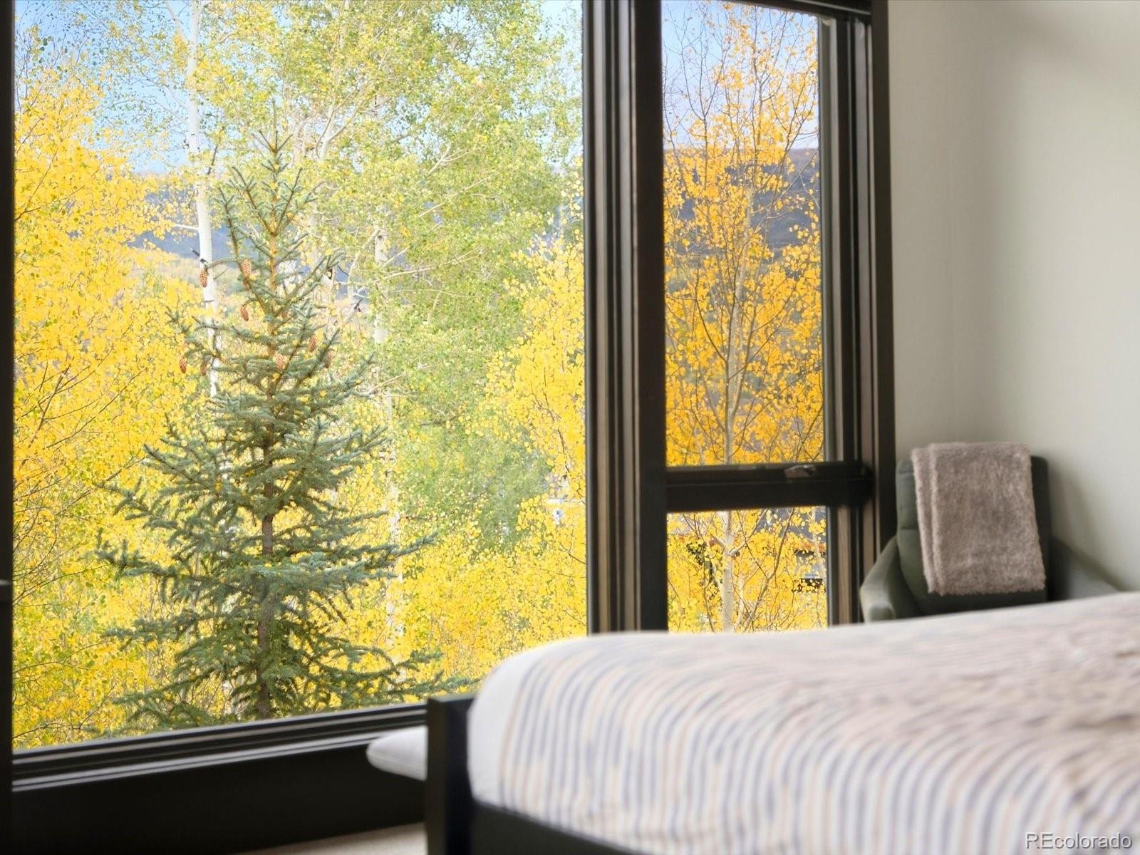 MLS Image #15 for 68  lund way,silverthorne, Colorado