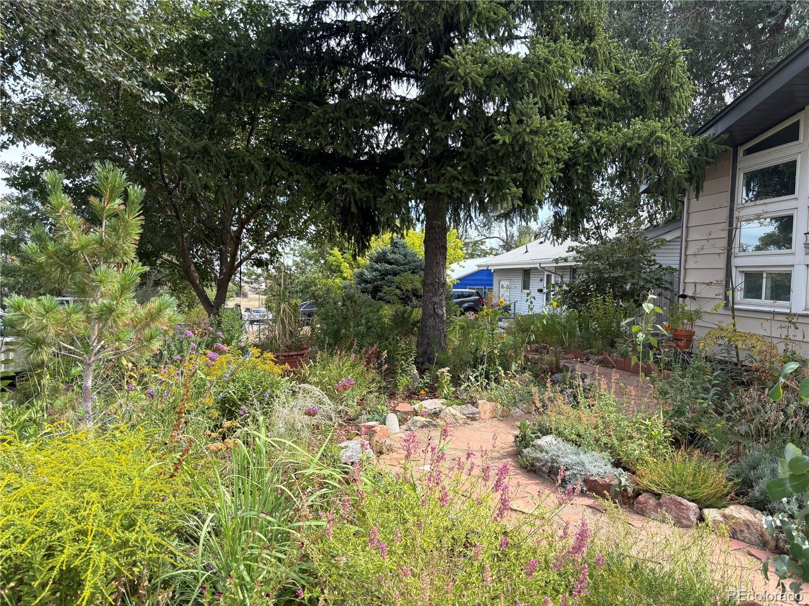 MLS Image #1 for 680  bronco road,denver, Colorado