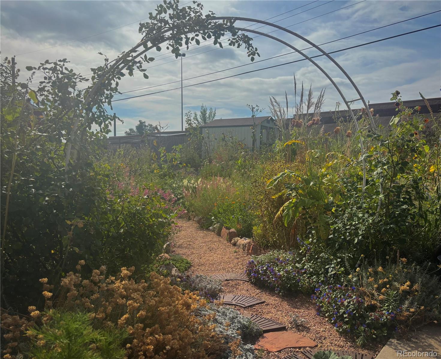 MLS Image #11 for 680  bronco road,denver, Colorado