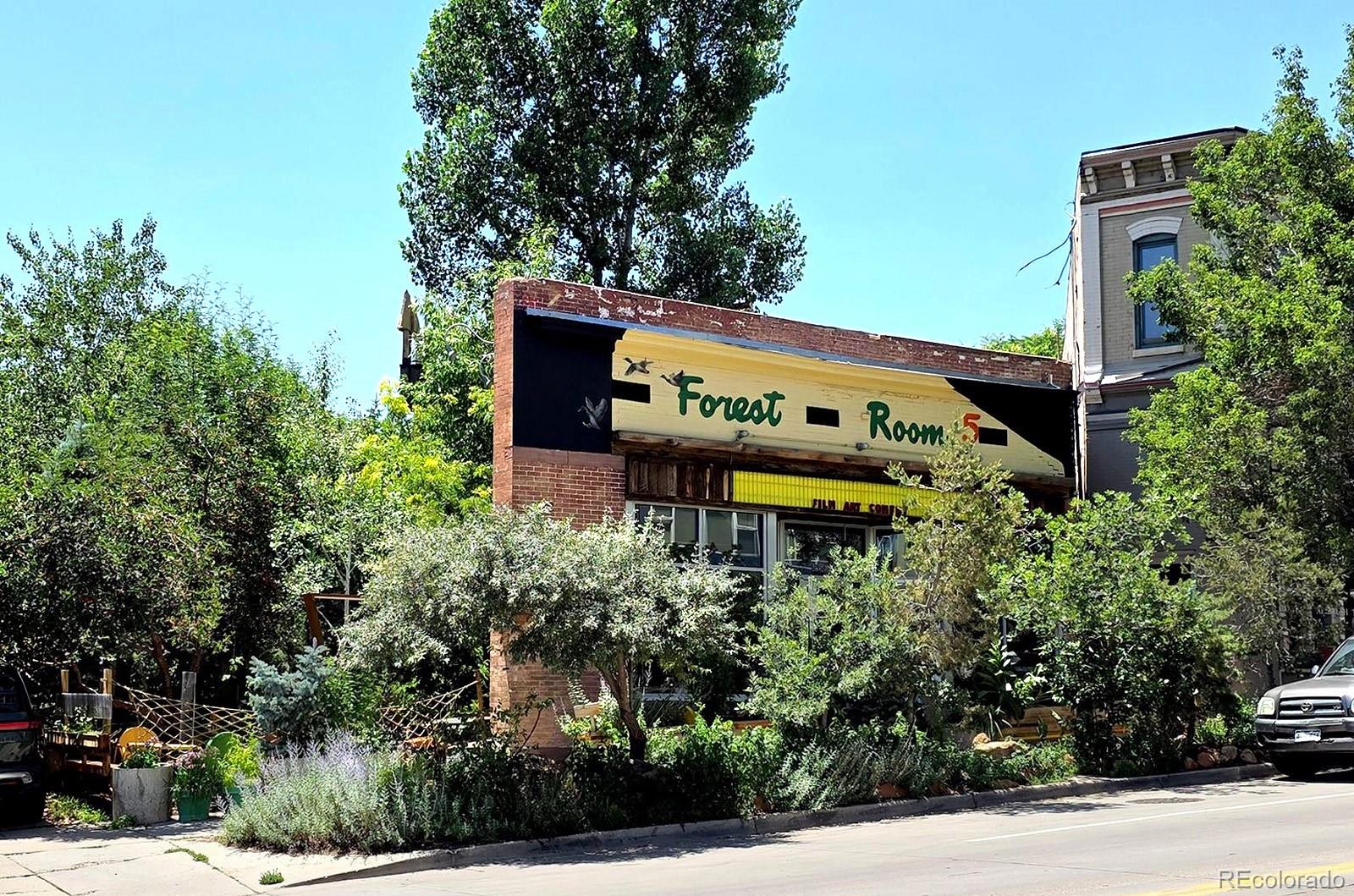 MLS Image #27 for 1521  central street,denver, Colorado