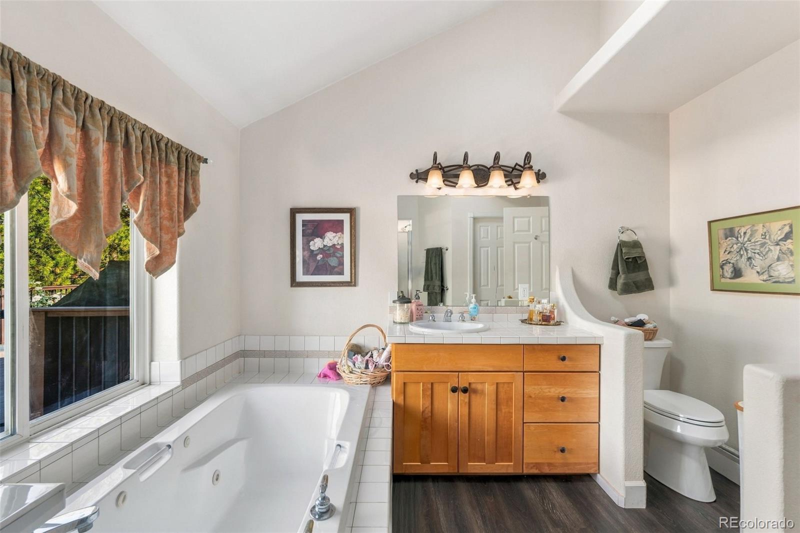 MLS Image #17 for 11356  random valley circle,parker, Colorado