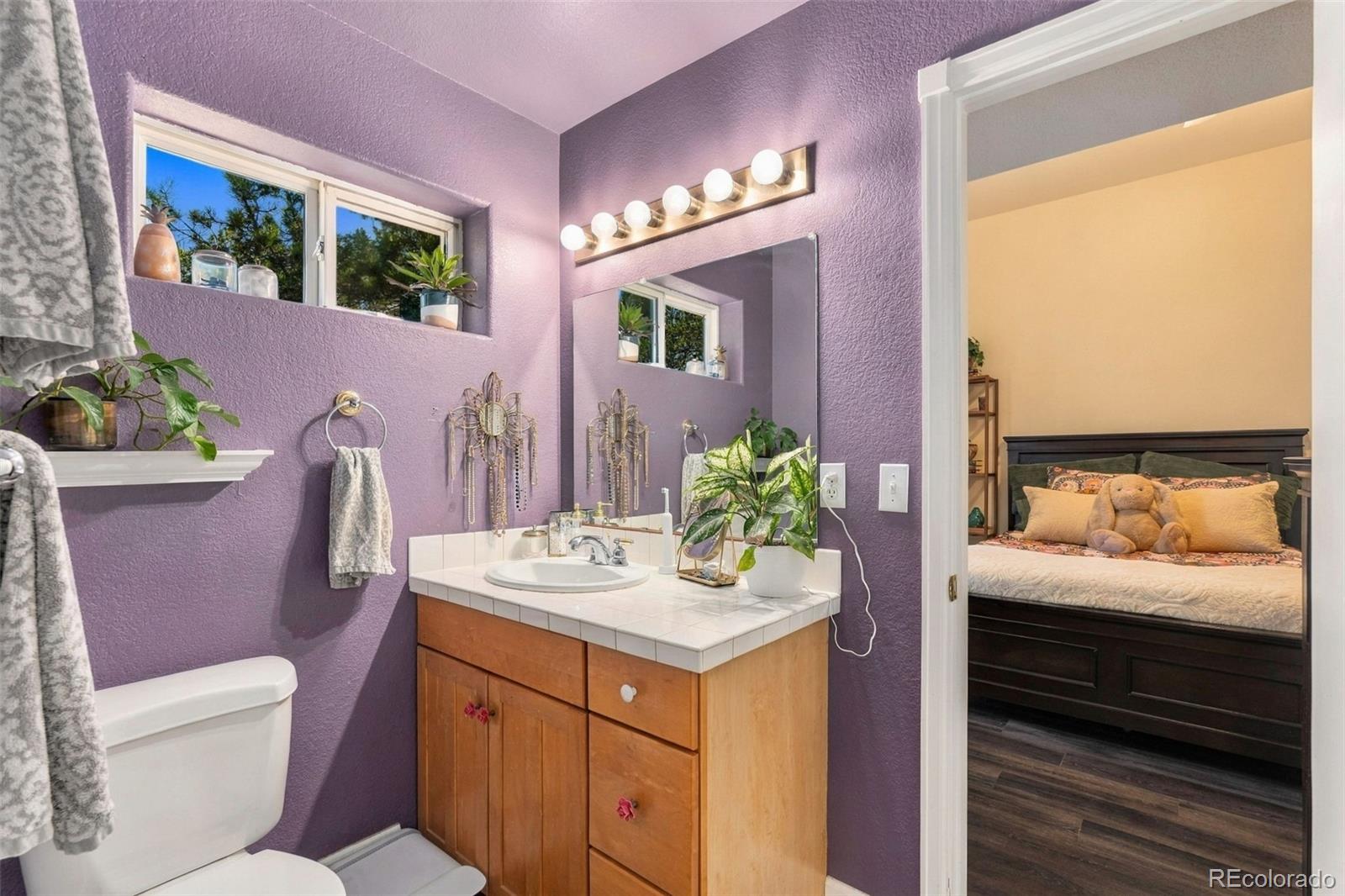 MLS Image #21 for 11356  random valley circle,parker, Colorado