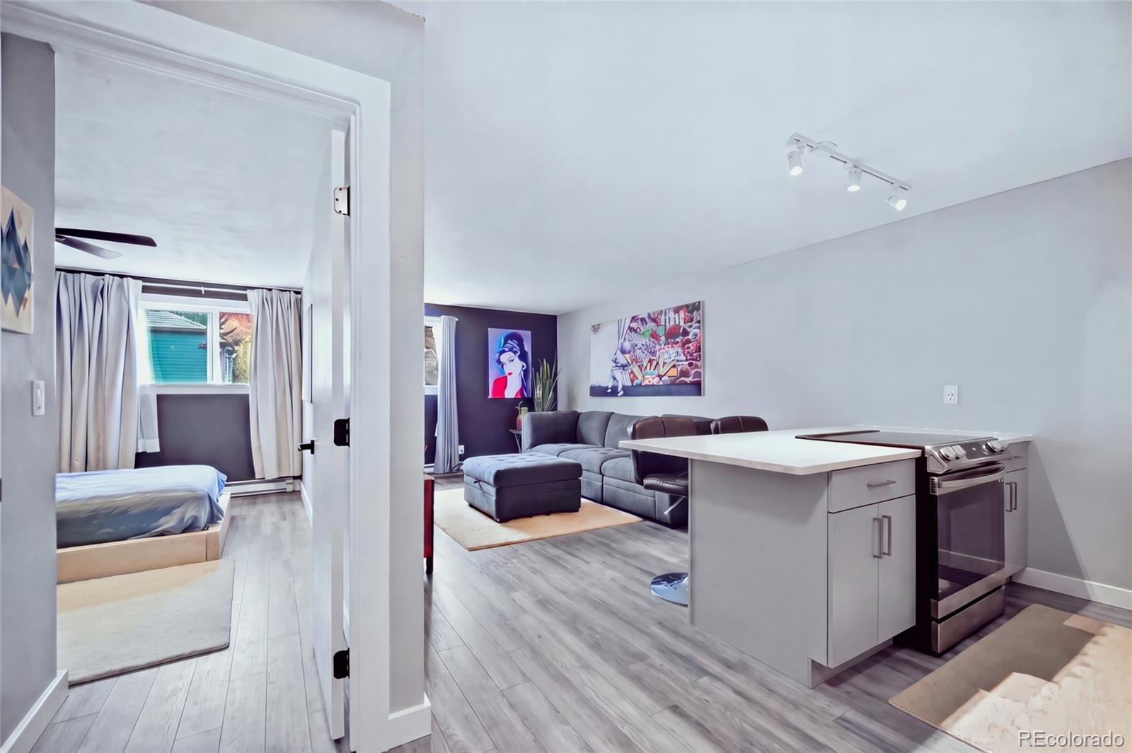 MLS Image #9 for 851 w beaver creek boulevard,avon, Colorado