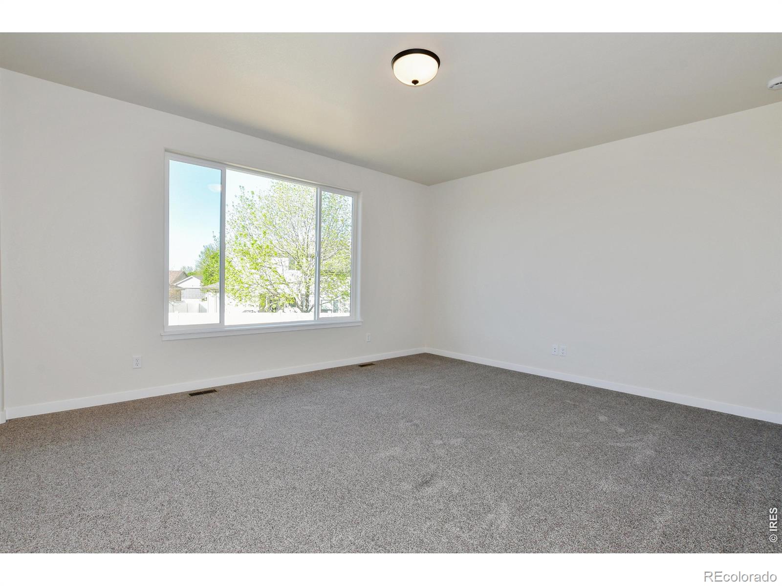 MLS Image #5 for 1039  crown sparrow street,johnstown, Colorado